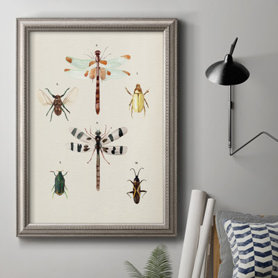 " Insect Varieties II " Painting Print