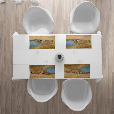 Récapitulatif 18,5" safari