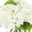 Faux Hydrangea Arrangement-1706013659
