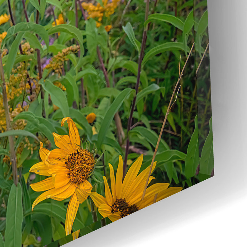 Art mural en verre Latitude Run® «Sunchokes At Hauteur Of Land» par Rick Berk, H 12 po x l 16 po x P 0,13 po