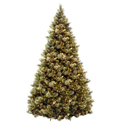 Quentin Flocked Pre-Lit Pine Christmas Tree