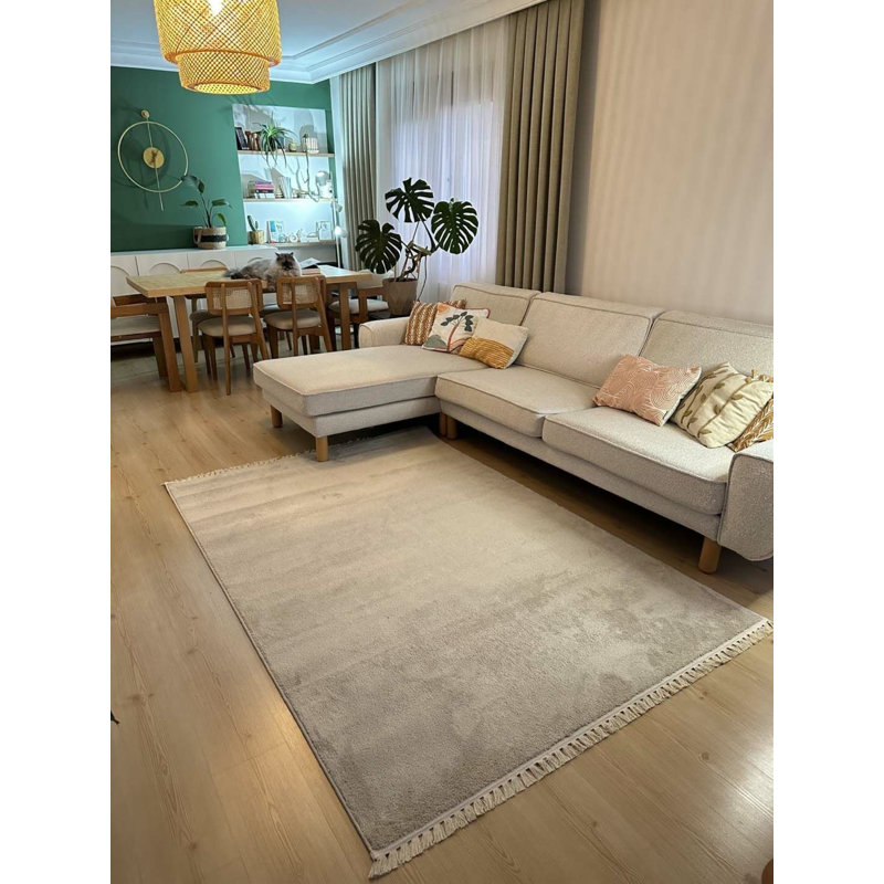 Tivan Indoor / Outdoor Rug, Rectangle 3'11" x 5'11"