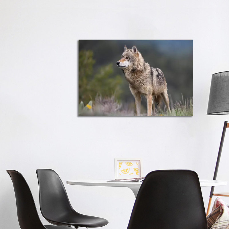 Grey Wolf, North America II by Tim Fitzharris - Wrapped Canvas Print, 101.6 cm H x 66.04 cm W x 1.91 cm D