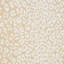 Iconic Leopard Wallpaper-69259199