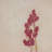 Desert Flora Triptych By Paul Meyer-1215770842