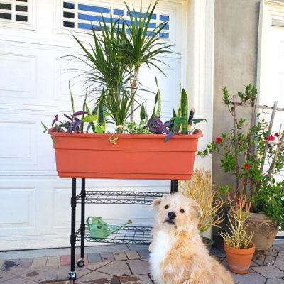 Dulcimer SelfWatering Plastic Elevated Planter