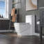 Dual-Flush Elongated One-Piece Toilet-58713030