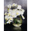 Centre de table avec 3 orchidées Real Touch-331604786