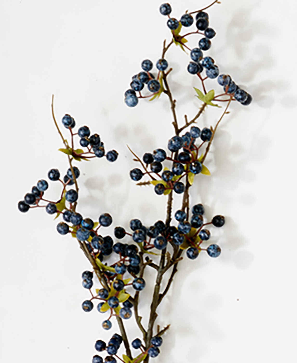 Blueberry Floral Stems