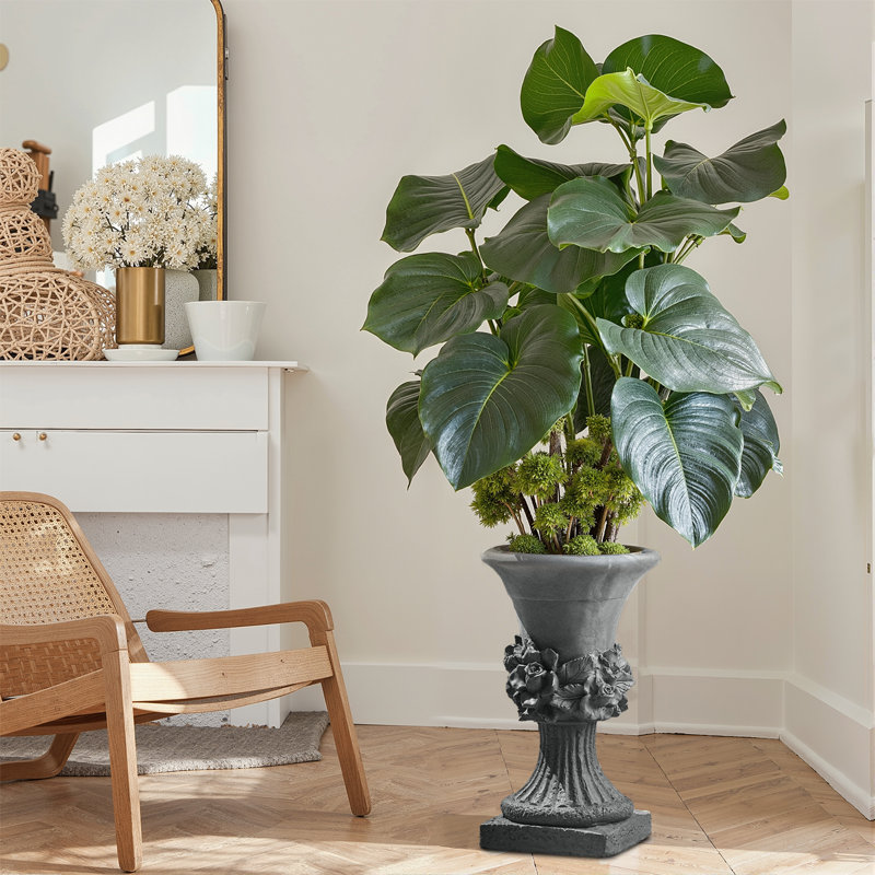 Filtres d'urne d'intérieur pour jardin, Gris antique