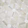 Angora Floralis 11" X 12" Polished Marble Mosaic Floor And Wall Tile