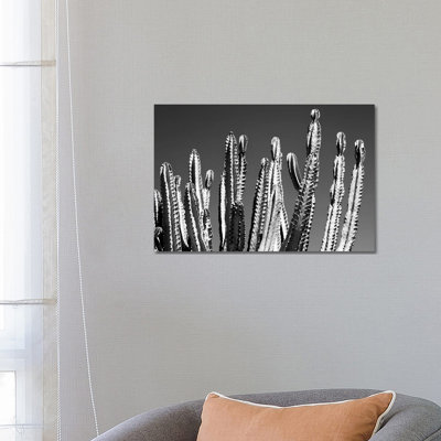 Black Arizona Series - Cactus Top by Philippe Hugonnard - Wrapped Canvas Print