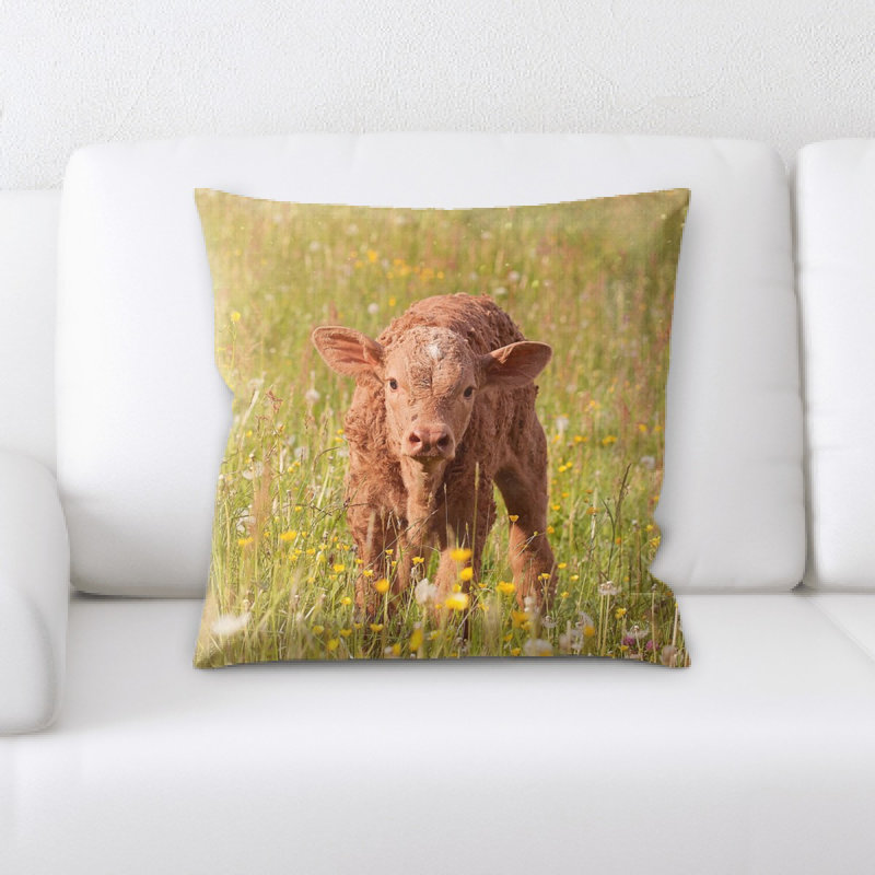 Coussin de veau