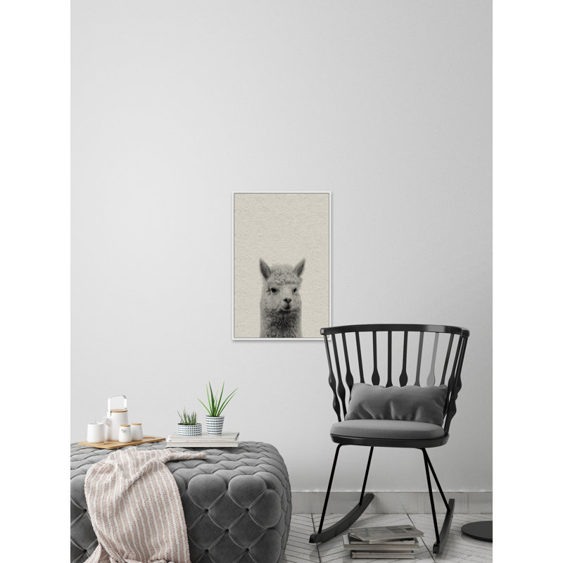 Llama Surprise - Drawing on Canvas, 114cm H x 76cm W
