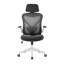 Aalaysia Mesh Office Chair with Headrest-363516333