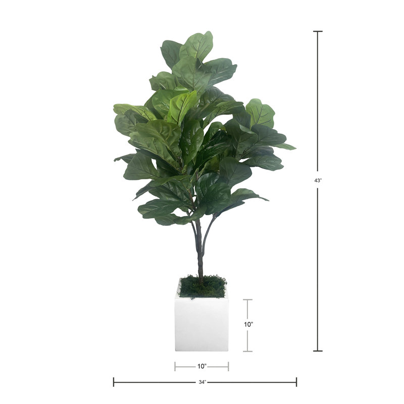 3.5' Faux Fiddle Tree in Fiberstone Planter