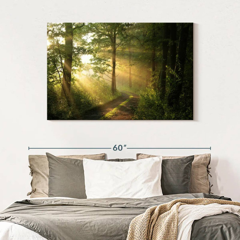 Alvord Forest Road - soleil, H 32 po x l 48 po