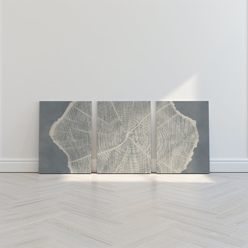 Large Tree Ring Prints, Lake House Wall Art, Set of 3 Wood Blocks, H 47 po x l 99 po, Toile tendue