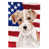 Jack Russell terrier brun sélectionné