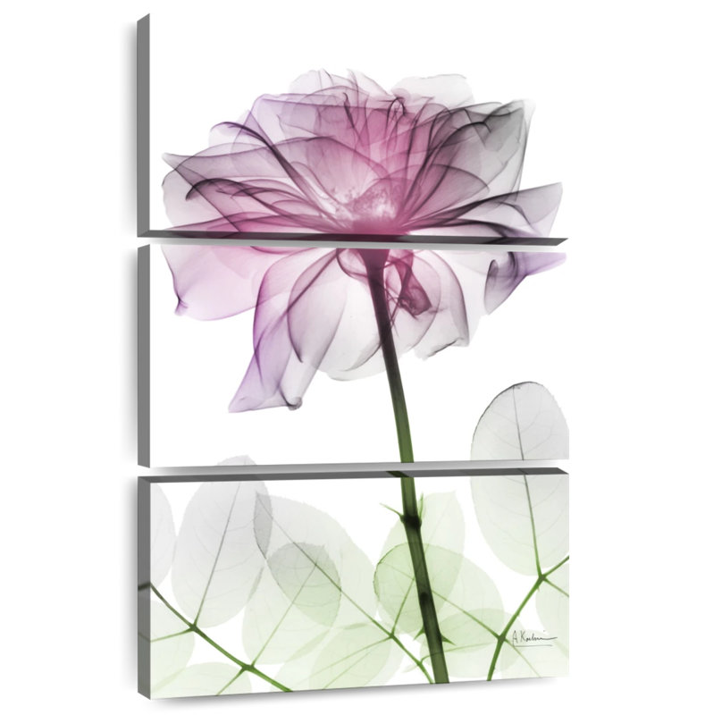 Harnek Rose Dynasty, 74" H x 48" W