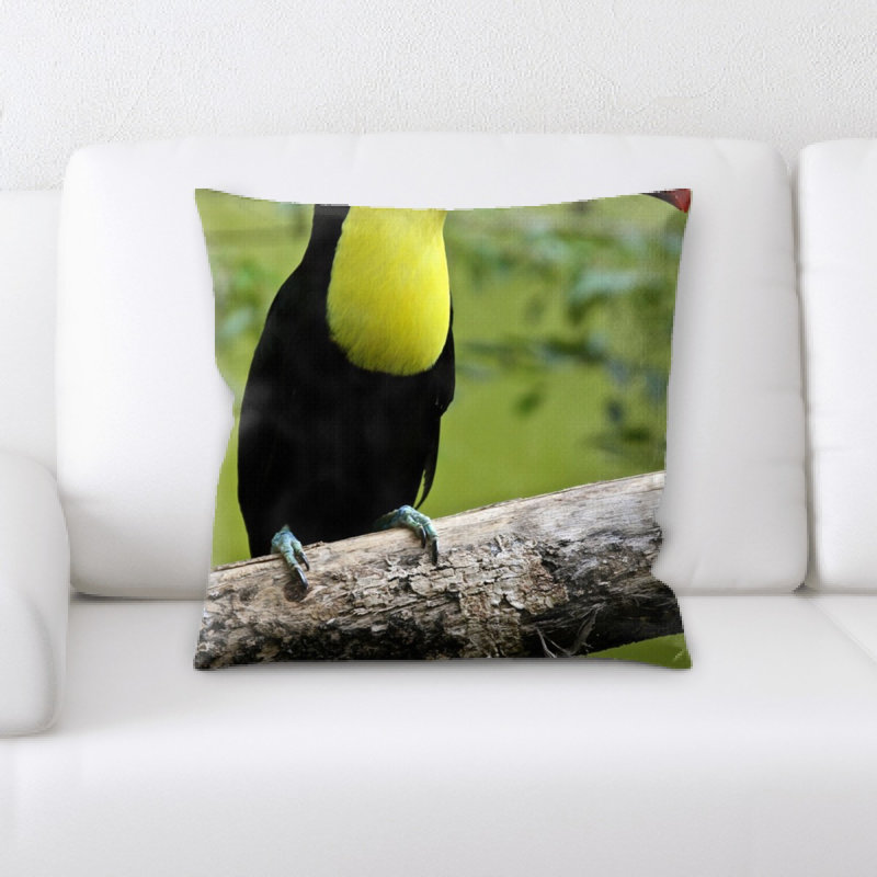 Coussin oiseau
