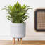Dotted Style Cylinder Planter with Feet Concrete Effect Cylinder Round Planter on Hardwood Legs, Round Indoor Plant Pot Stand for Indoor Plants, Indoor Flower Pot with Dotted Pattern-1274800034-1274800039