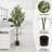 70.8"H Artificial Olive Tree 1pc/set-1897507572