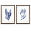 "Seaweed Under Water III" - ensemble de 2 reproductions d'art-1089807161-1161576877-1089807172