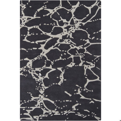 Navyan Black/Gray Area Rug