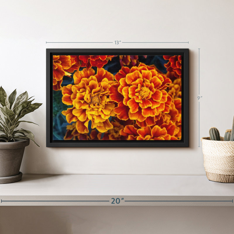 Floral et botanique "Fleurs de souci", H 9 po x l 13 po