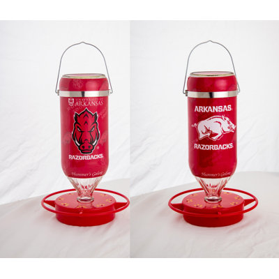 Glass Hanging Hummingbird Feeder