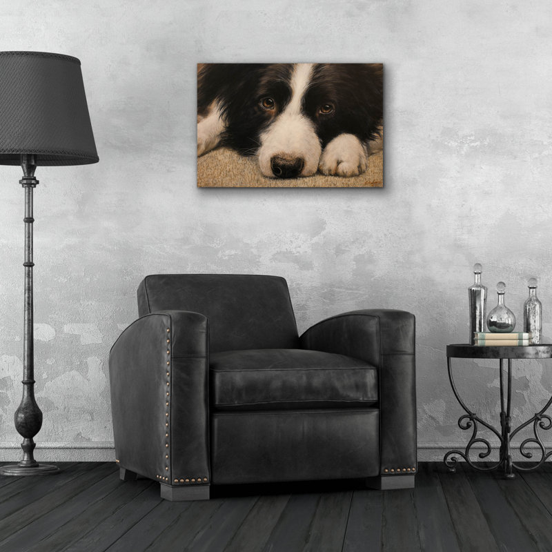 «Border Collie Love» par John Silver, H 16 po x l 24 po