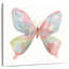 Brampt, aquarelle, papillon et beauté I-109206531