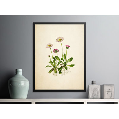 Bernice Print