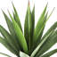 Agave artificielle en pot 31 po Coffman
