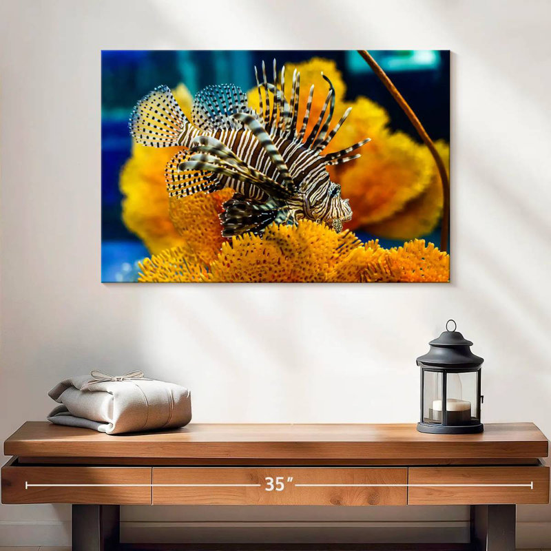 Poisson d'eau salée Brampt, H 16 po x l 24 po