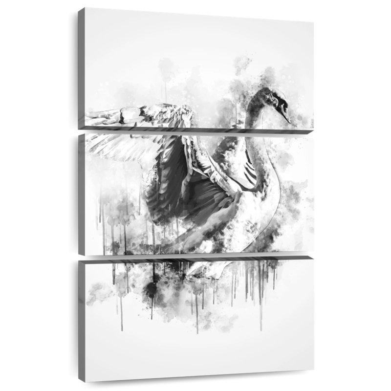 Cygne Brampt noir et blanc