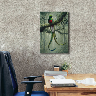 'Resplendent Quetzal 2' by Harro Maass, Canvas Wall Art