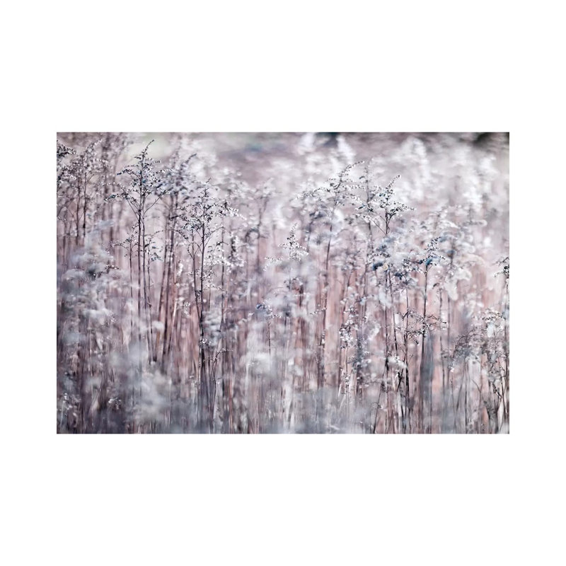 Cotton Tops 1 Piece Wrapped Canvas Wall Art, 20.32 cm H x 30.48 cm W