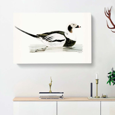 Long-Tailed Duck by Von Wright - Wrapped Canvas Art - Wrapped Canvas
