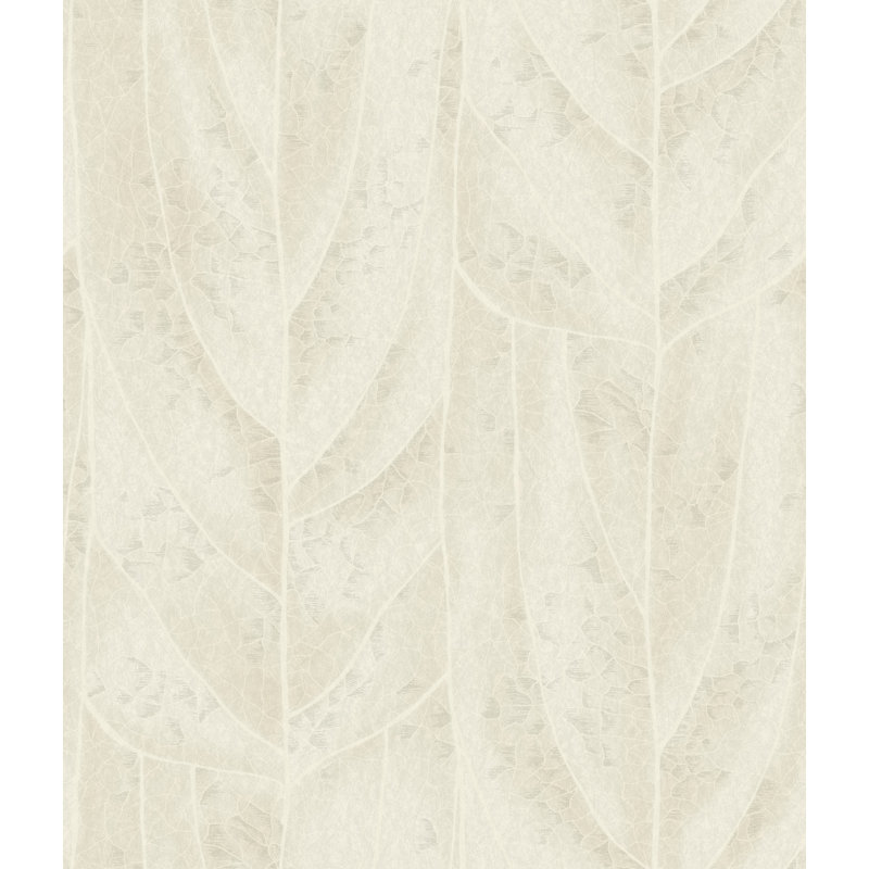 Papier peint Dicot, Gris