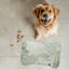 Tapis d'alimentation simple en forme d'os