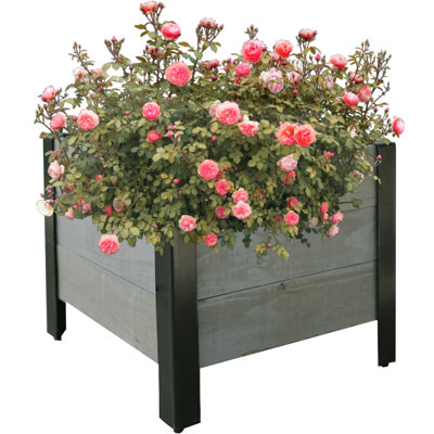 Lubaba Wood Raised Garden Bed