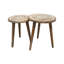 Ensemble de deux tables d'appoint en bois massif 