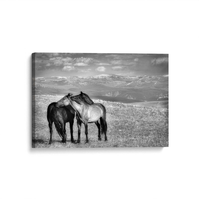 Equine Companionship Canvas Print, 12" H x 18" W x 1.25" D, Wrapped Canvas
