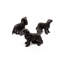 Laytonville Cavalier King Charles Spaniel
