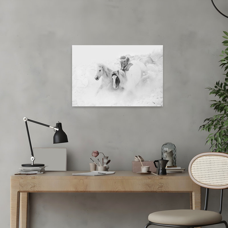 Reproduction d'art mural cheval sauvage, 16" H x 24" W