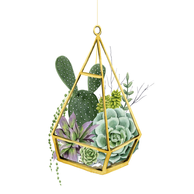 Wild Terrarium I, H 36 po x l 24 po x P 1,25 po