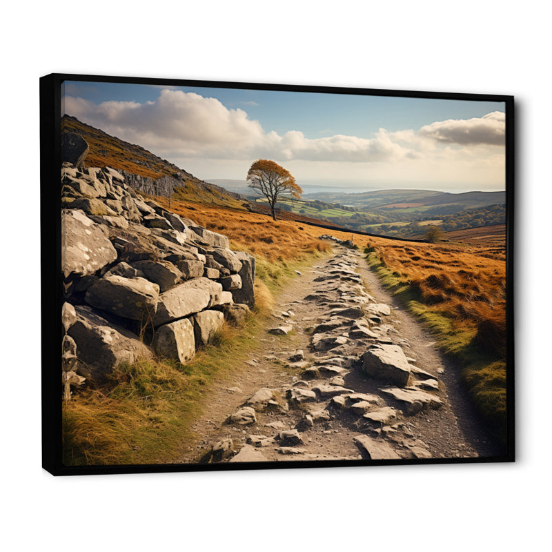 «Ireland Wandering Paths», reproduction sur toile, Cadre flottant noir, H 34 po x l 44 po x P 1,5 po