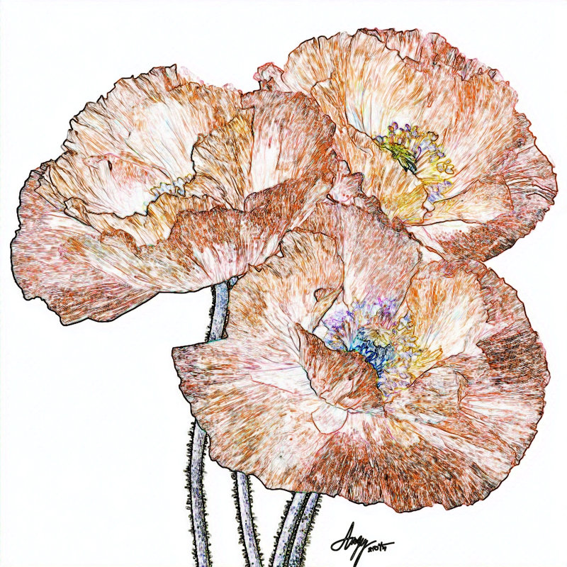 Art mural sur toile Whisper Poppy, L 40 po x H 40 po x P 1,5 po